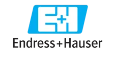 Endress + Hausser